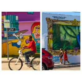 Leandre Real Florida Lorah koeur 