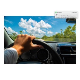 Leandre Real Florida Lorah koeur 