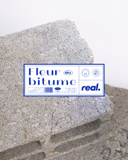 leandre real kurtzemann fleur du bitume 